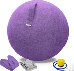 Exercise Ball Chair with Fabric Cover, Standard Size (25inches/65cm), for Home Offices, Balance Training, Yoga Ball